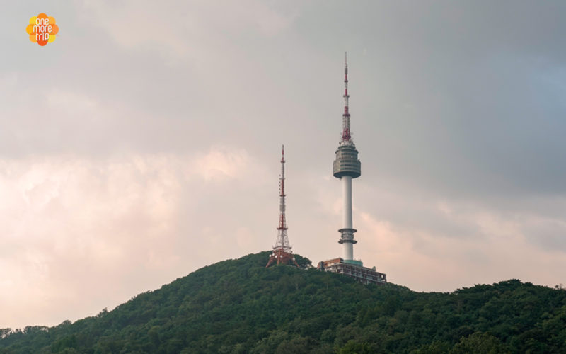 Guest house view N Tower