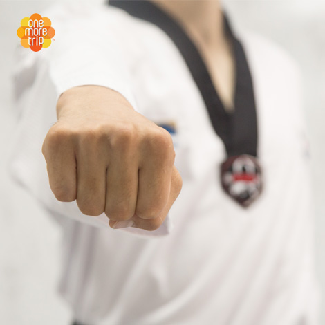 Taekwondo punch