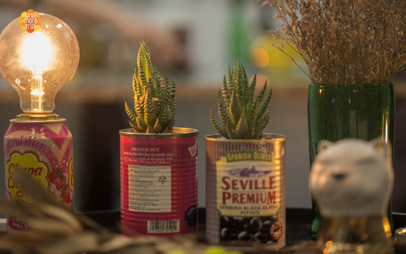 upcycling succulent light