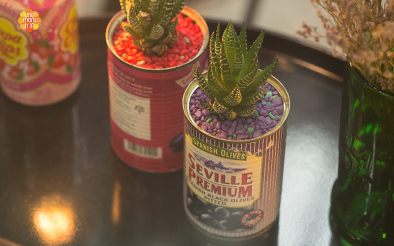 upcycling succulent pots