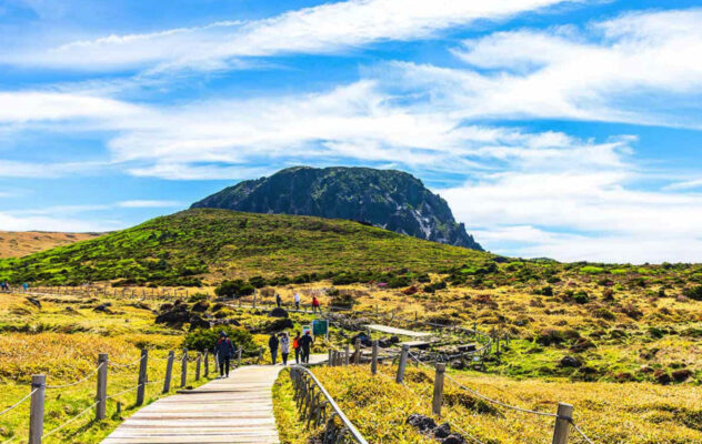 Jeju 1100 Highland